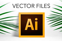 ¿Qué es un archivo vector?